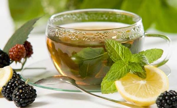 Yeil ay<br>Serbest radikallere kar nemli hcre koruyucu maddeler ieriyor ve bylelikle yalln dorudan hcrelerde durdurulmasn salyor.