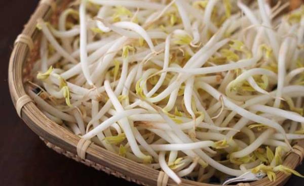 Soya filizi<br>Vcudun kendi hormonlar kadar etkili. Cildi dolduruyor ve gerginliini salyor.