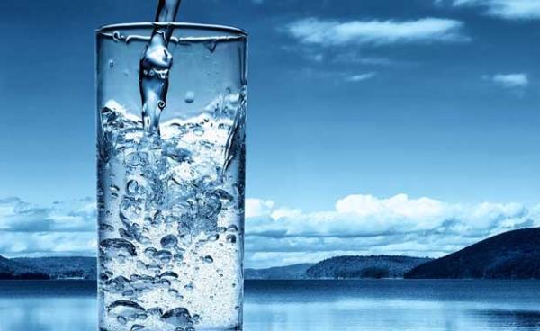 Su<br>Hcrelerin ve ba dokularnn dolgu ve destek gereksinimini karlyor. Besinlerin hcrelere tanmasn, atklarn da hcrelerden kn salyor.