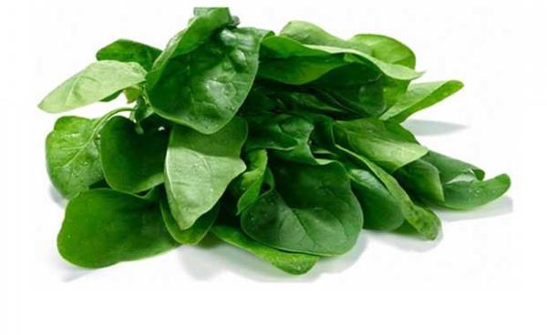 Ispanak, lahana<br>B vitamini ba dokusunun skln destekliyor, selliti nlyor.