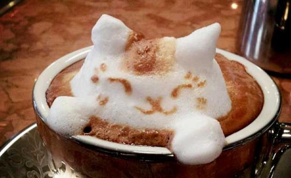 Karacier in ok Faydaldr