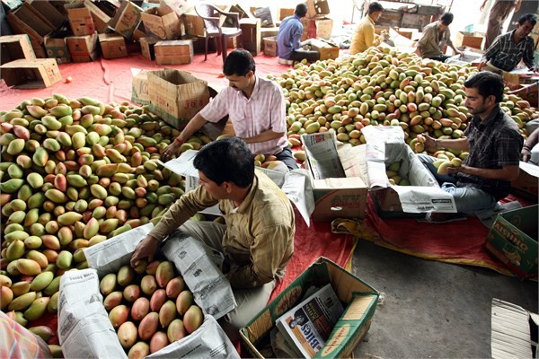 3- Filipinler<br>    Yzde 6