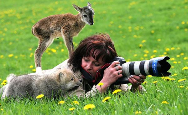 Bunlar yanndayken neyi ekiyor?