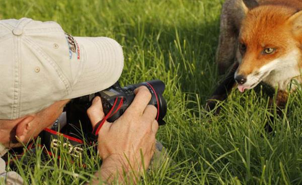 Olayn inceliklerini renmek iin kk admlar