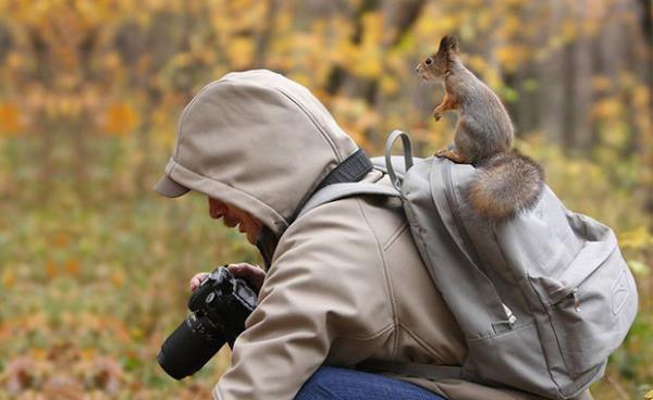 Bu karelerin iinde yaban hayatn mimarlar hi beklemedikleri anlarda misafirlerini srprizlerle karlyor.