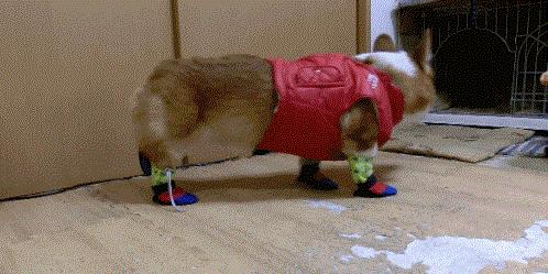 Yeni giydiin orapla slak yere bas